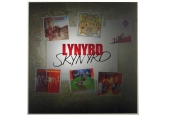 Schallplatte Lynryd Skynryd - Lynryd Skynryd (180 g Limited Edition) (Universal) im Test, Bild 1